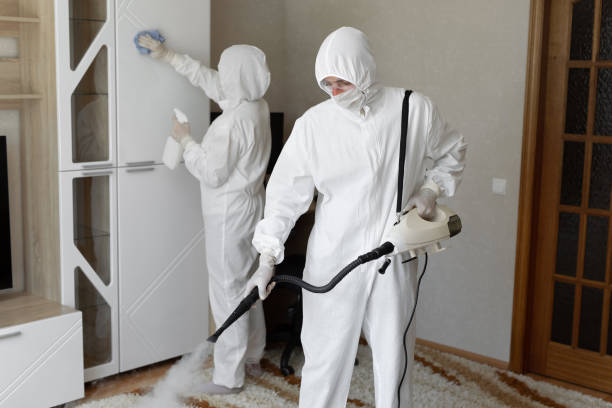 24/7 Emergency Odor Removal experts in McQueeney, TX