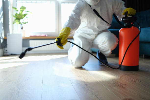 Reliable Odor Removal contractor in McQueeney, TX by Trauma Clean Pros